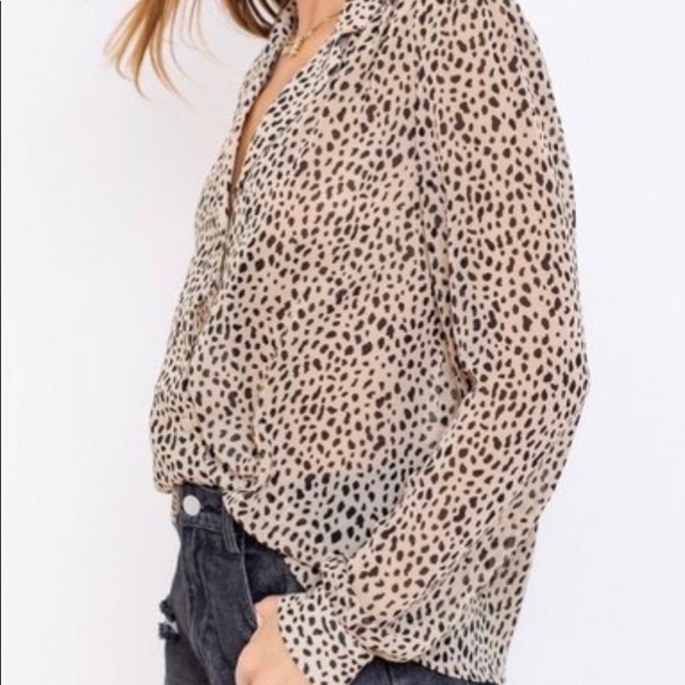 LEOPARD - Picture 2 of 6